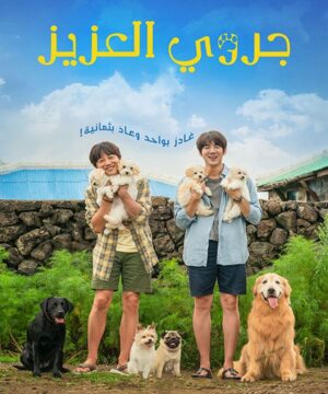 My Heart Puppy 2023 فيلم الدراما والكوميديا الكوري جروي العزيز مترجم